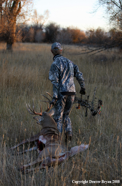 Bowhunter with Whitetail Deer
