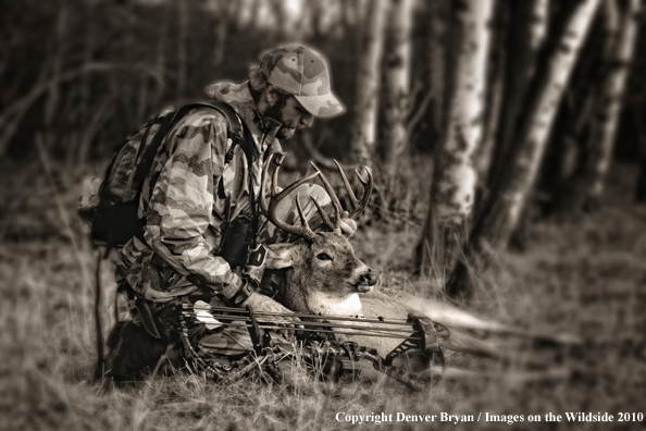 Bowhunter with bagged whitetail buck. (Original image # 11049-016.47D)
