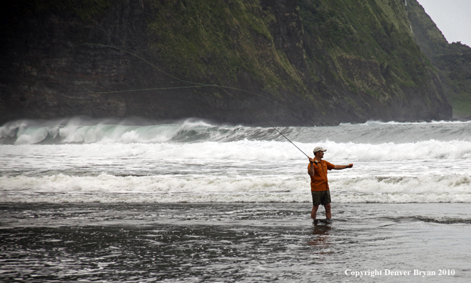 Salt waster fly fishing in hawaii.