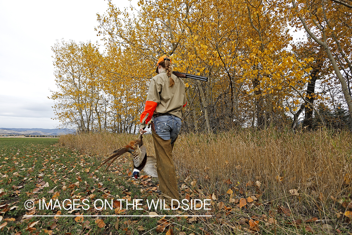 Woman with bagged pheasant walking field line.