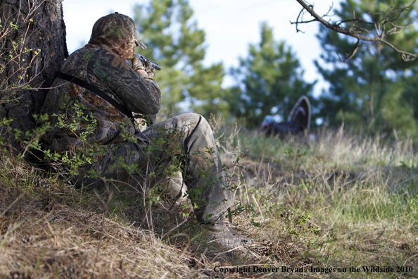 Hunter with (Merriam's) turkey in sights