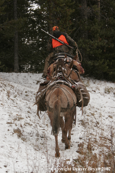 ELk hunter with pack string