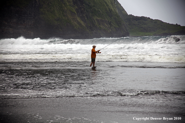 Salt waster fly fishing in hawaii.