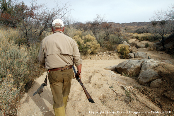Upland game bird hunter hunting desert quail in Arizona.