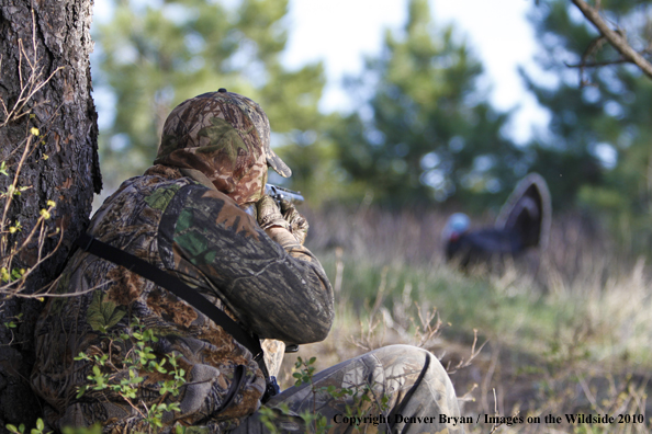 Hunter with (Merriam's) turkey in sights