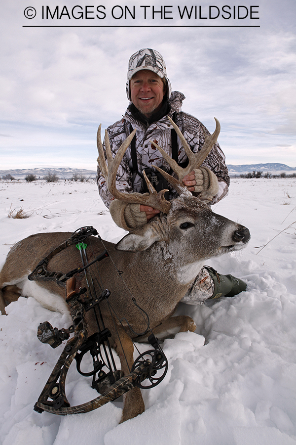 Bowhunter with bagged white-tailed deer.