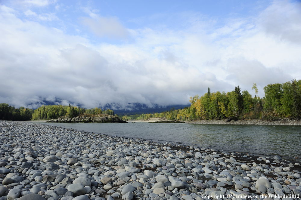 Landscape of Skeena River, British Columbia. 