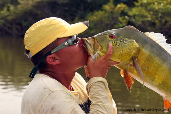 Flyfisherman kissing peacock bass