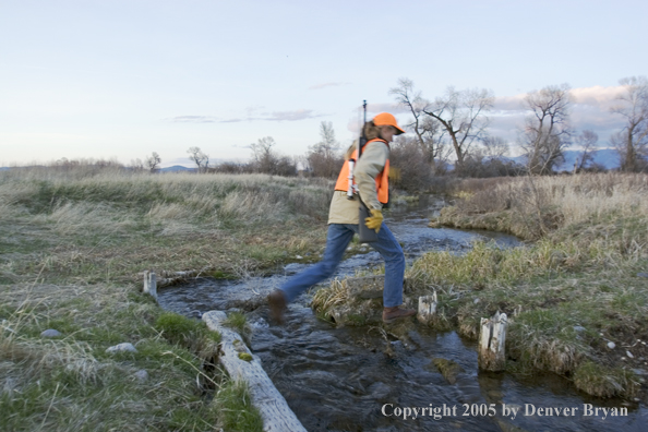 Woman big game hunter crossing small creek.