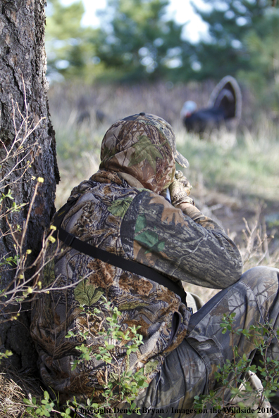 Hunter with (Merriam's) turkey in sights