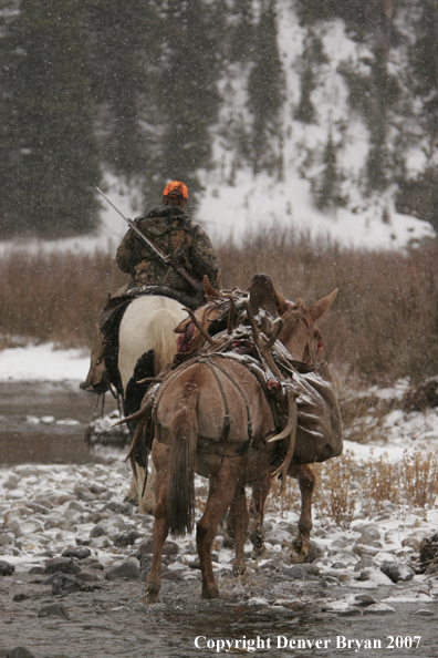 ELk hunter with pack string