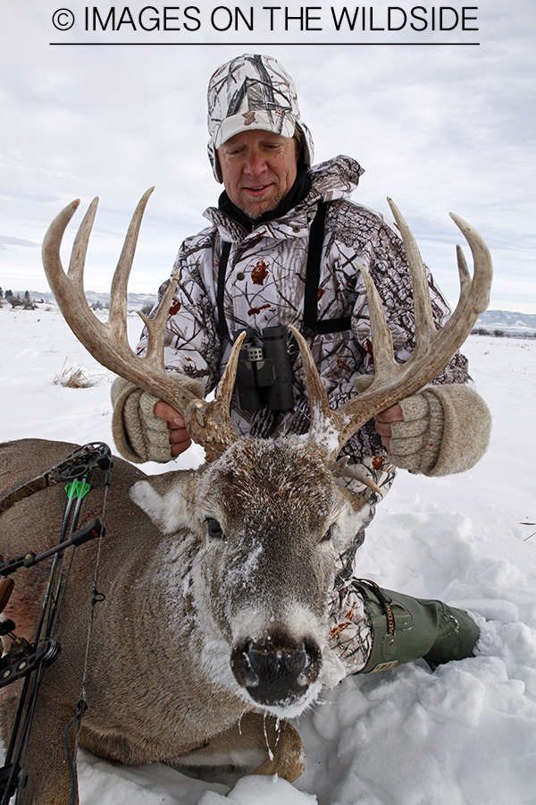 Bowhunter with bagged white-tailed deer.