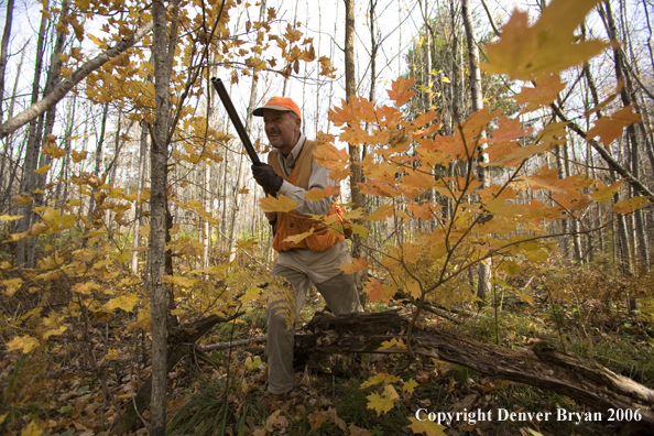 Upland bird hunter in woods