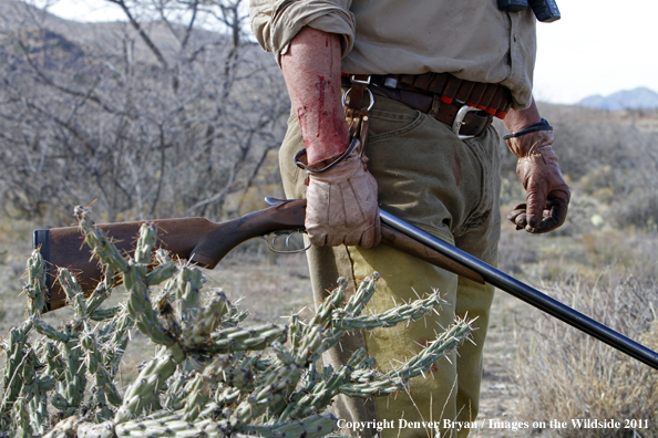 Upland game bird hunter hunting desert quail in Arizona.