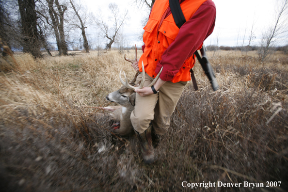 Hunter in field with bagged deer