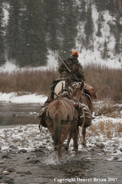 ELk hunter with pack string