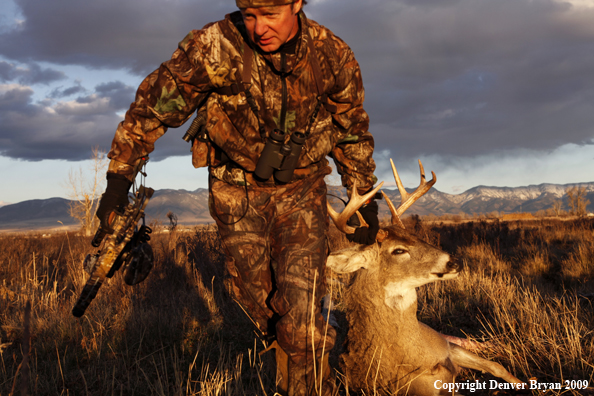 Bowhunter dragging bagged whitetail deer.