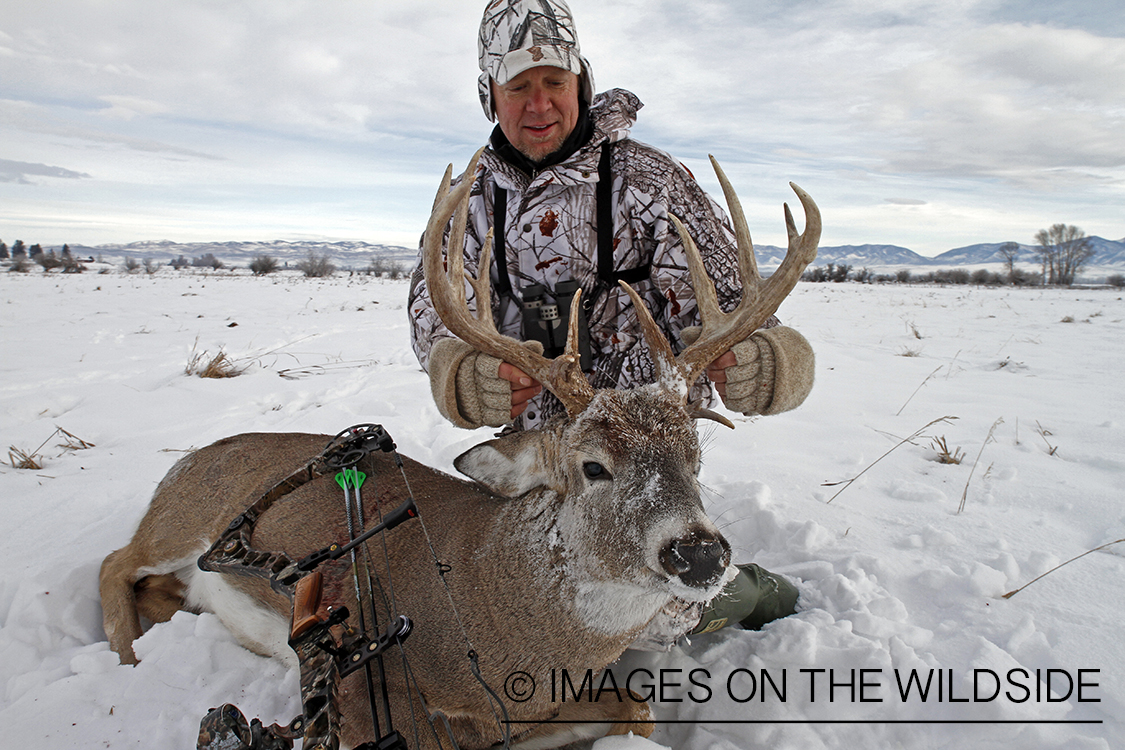 Bowhunter with bagged white-tailed deer.