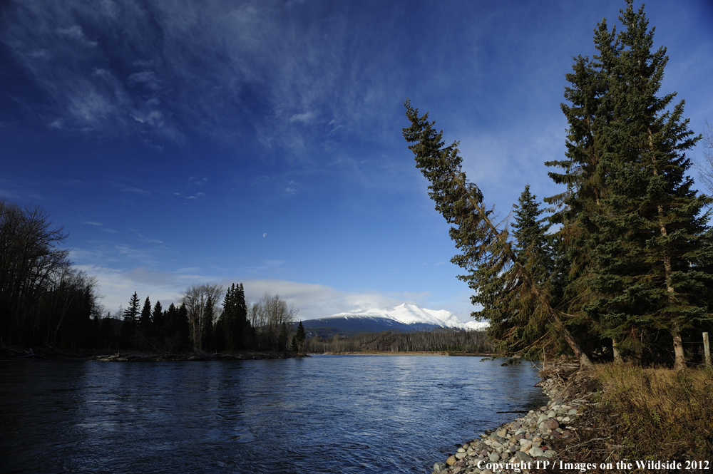 Landscape of Skeena River, British Columbia. 
