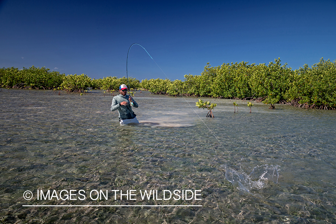 Flyfisherman fighting with bonefish.