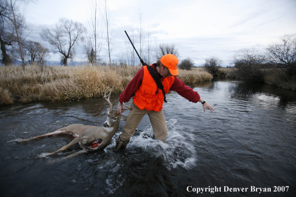 Hunter in field with bagged deer