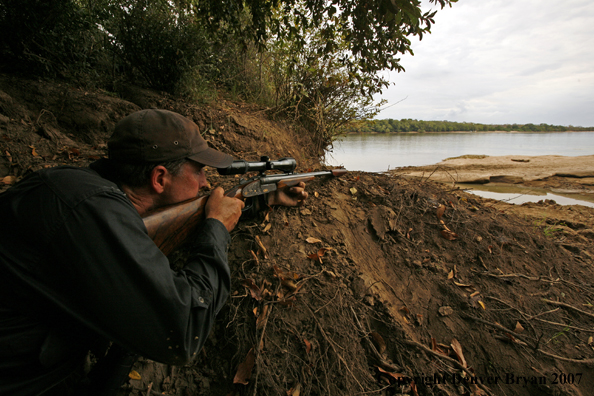 Hunter aiming at African crocodile