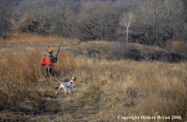 Upland game bird hunter with dog hunting.
