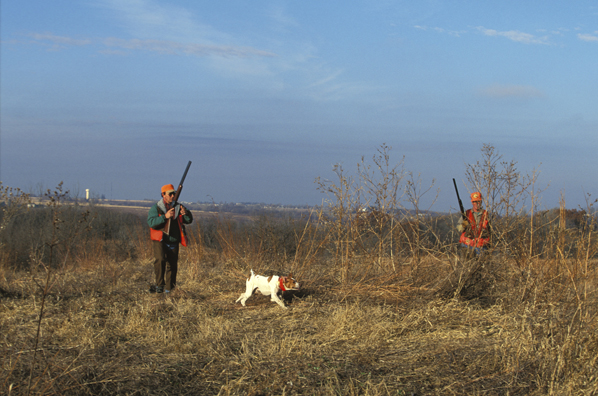 Upland bird hunters with English Pointer.