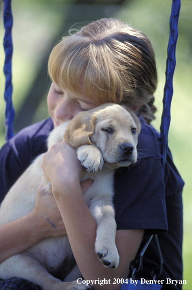 Child with yellow Labrador Retriever puppy