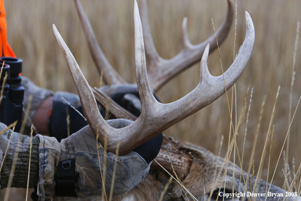 Hunter with Whitetail Deer