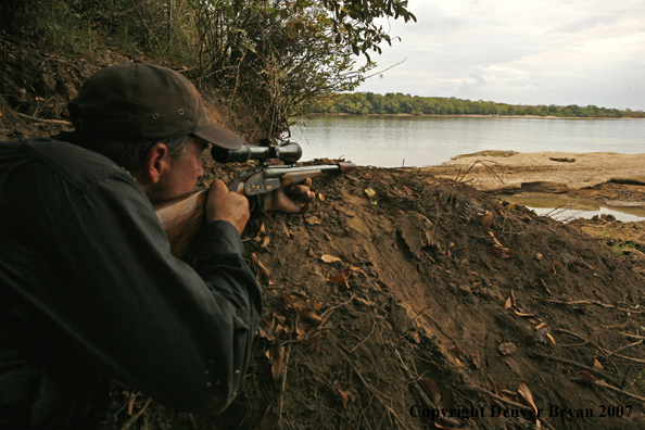 Hunter aiming at African crocodile
