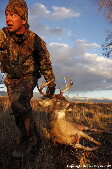 Bowhunter dragging bagged whitetail deer.