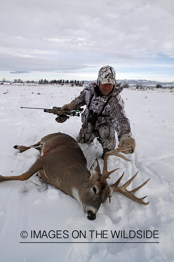 Bowhunter with bagged white-tailed deer.
