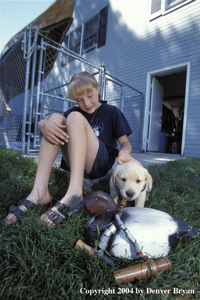 Child with yellow Labrador Retriever puppy