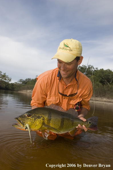 Fisherman holding Peacock Bass