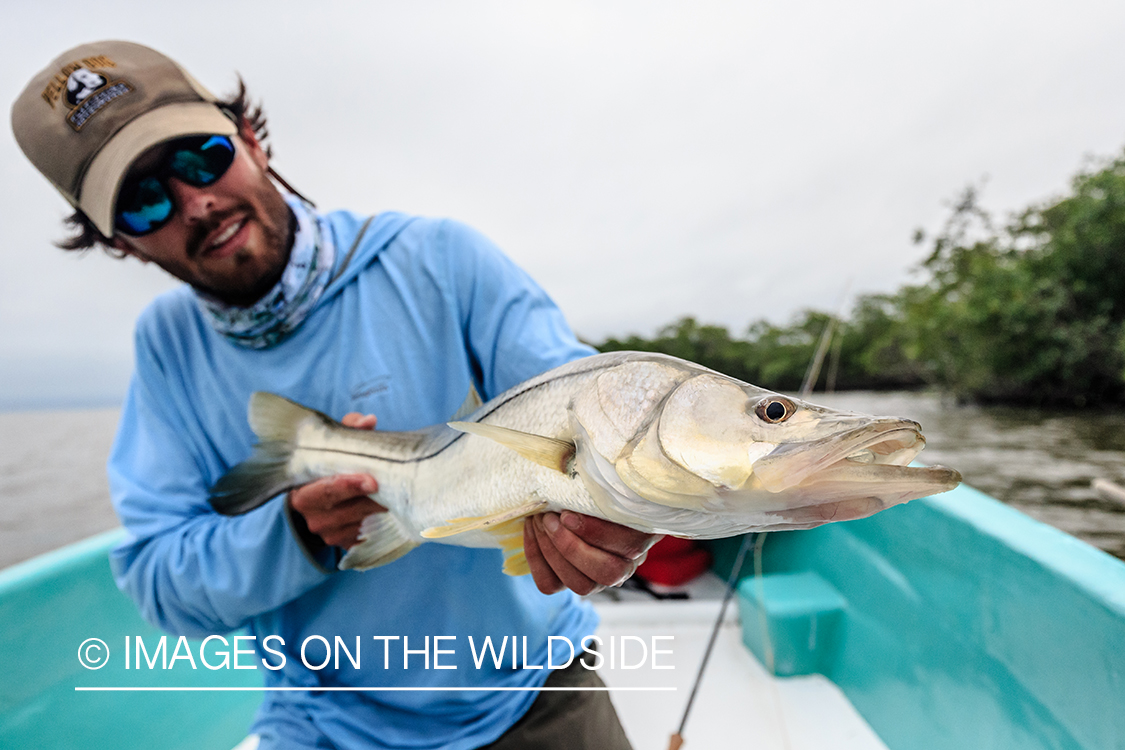Flyfisherman with snook.