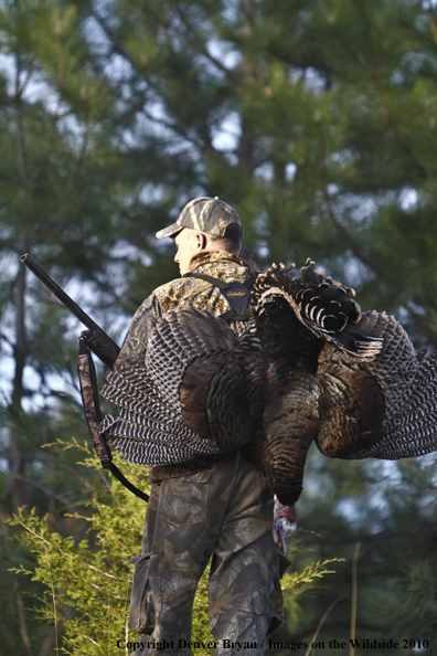 Hunter with bagged (Merriam's) turkey thrown over shoulder