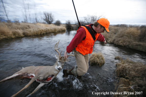 Hunter in field with bagged deer