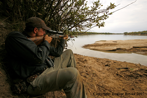 Hunter aiming at African crocodile