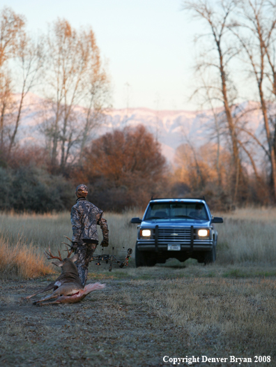Bowhunter with Whitetail Deer