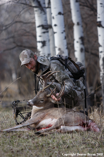 Bowhunter with bagged whitetail buck.