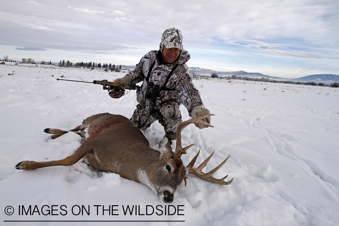 Bowhunter with bagged white-tailed deer.