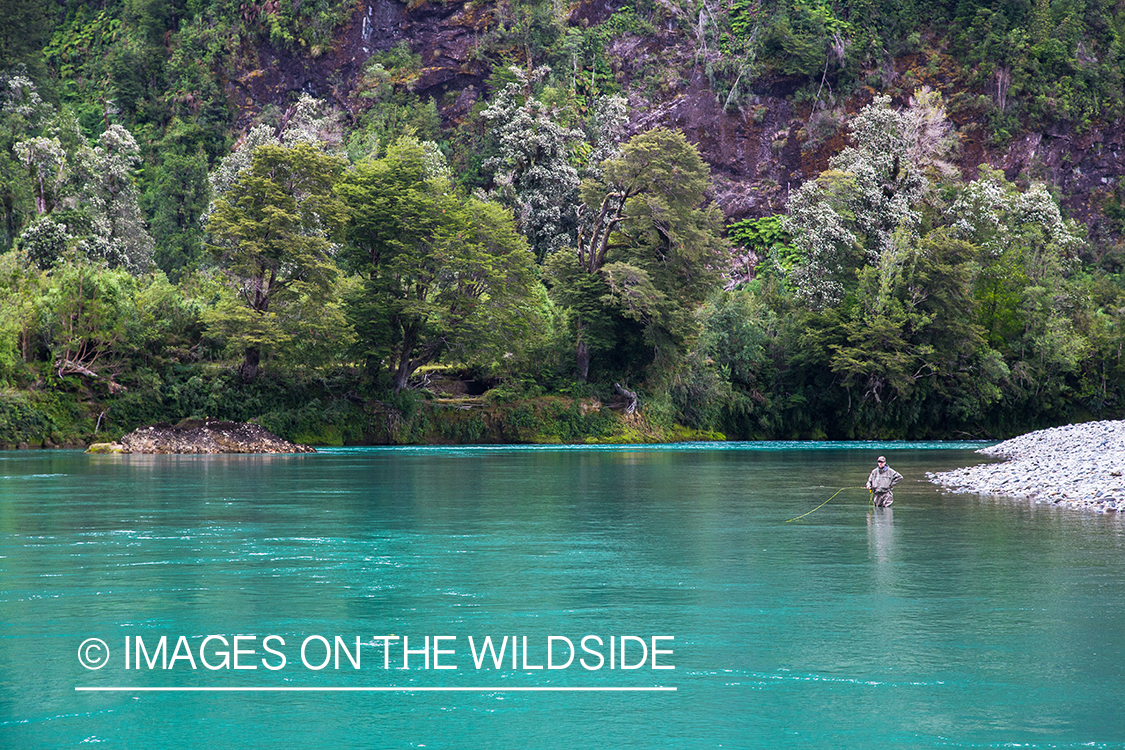 King salmon fishing in Chile.