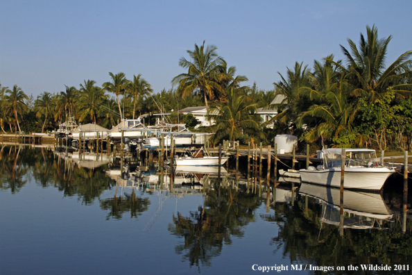 Canal Docks in the Bahamas. 