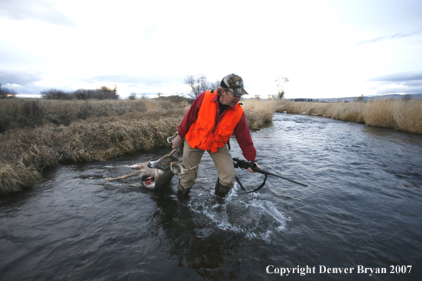 Hunter in field with bagged deer