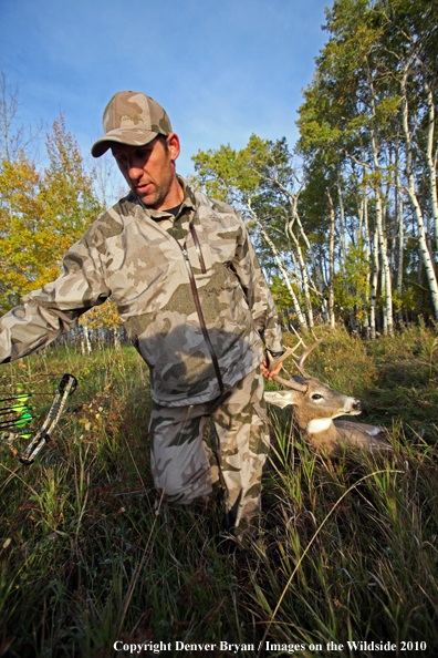 Bowhunter dragging downed white-tailed buck.
