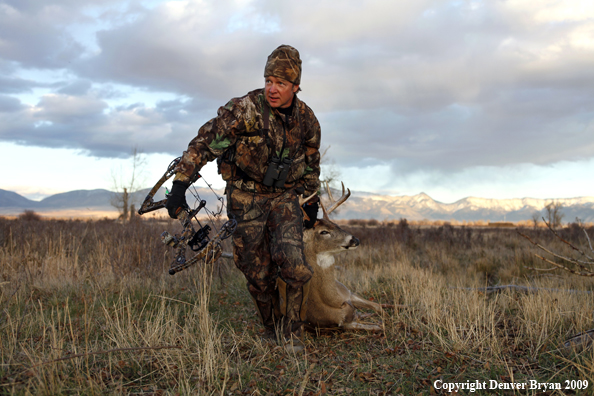 Bowhunter dragging bagged whitetail deer.
