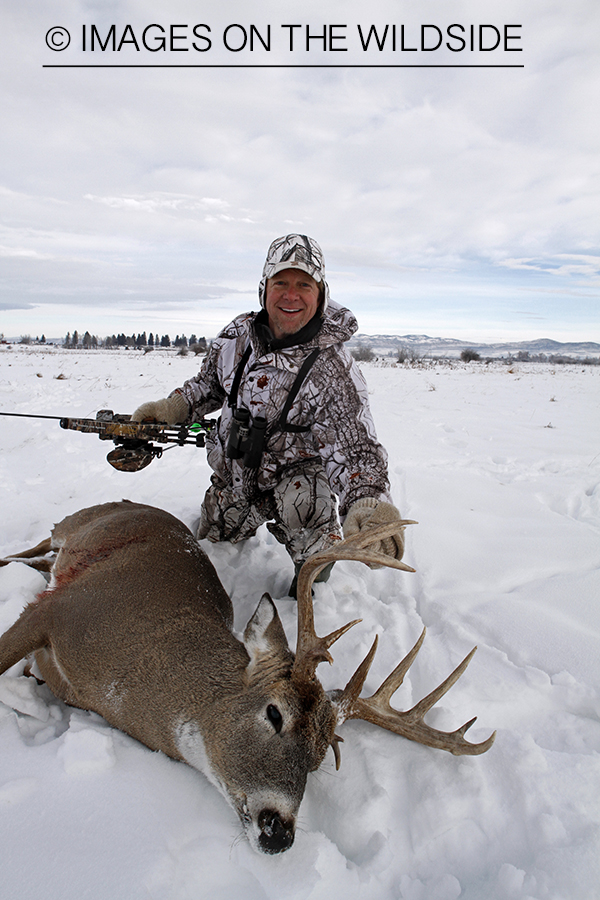 Bowhunter with bagged white-tailed deer.