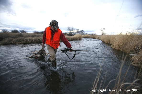 Hunter in field with bagged deer