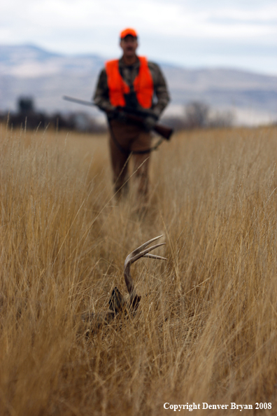 Hunter with Whitetail Deer